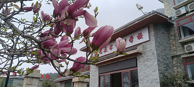 微信图片_20020214083402 拷贝.jpg