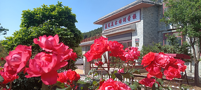 微信图片_20020214082110 拷贝.jpg