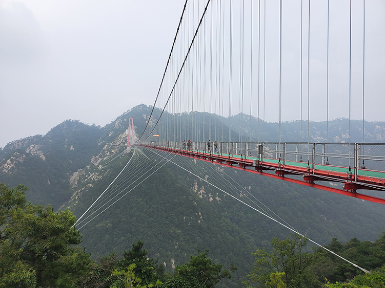 20200717_134937 拷贝.jpg